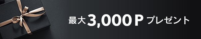 最大3,000Pプレゼント