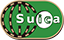 Suica